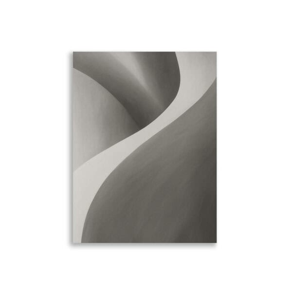 enhanced-matte-paper-poster-cm-30x40-cm-front-690c7a8bb906d.jpg Affiche abstraite, courbes douces gris clair et foncé