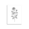 Affiche botanique rose en noir et blanc – Ligne fine