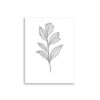 Affiche botanique en noir et blanc – Ligne fine