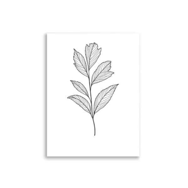 Affiche botanique en noir et blanc – Ligne fine