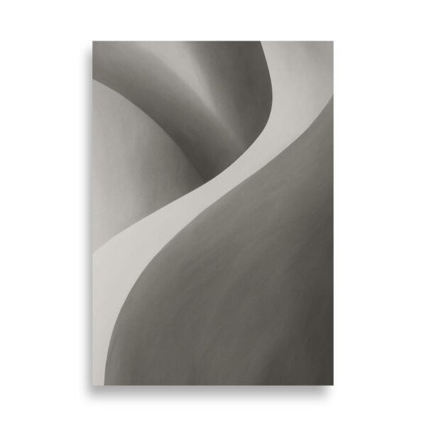 enhanced-matte-paper-poster-cm-70x100-cm-front-690c7a8bb8a27.jpg Affiche abstraite, courbes douces gris clair et foncé