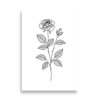 Affiche botanique rose en noir et blanc – Ligne fine