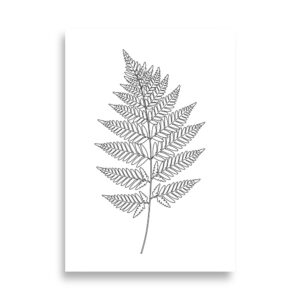 Affiche botanique fougère en noir et blanc – Ligne fine